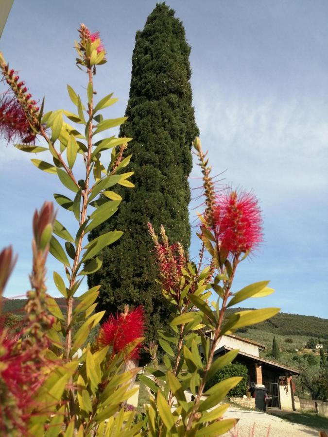 바스키 Borgo Buciardella 빌라 외부 사진