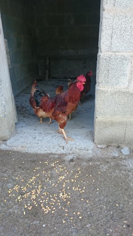 바스키 Borgo Buciardella 빌라 외부 사진