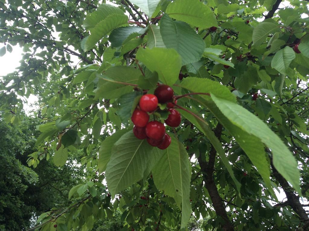 바스키 Borgo Buciardella 빌라 외부 사진