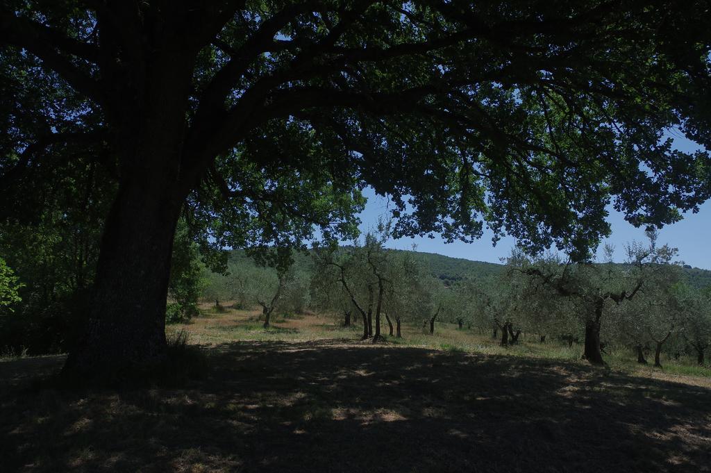 바스키 Borgo Buciardella 빌라 외부 사진